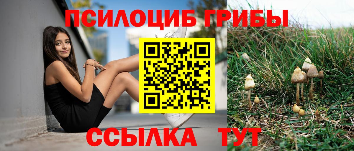 Псилоцибиновые грибы мицелий  Вход с VPN  Псилоцибиновые грибы Cubensis  магазин продажи   Фролово 