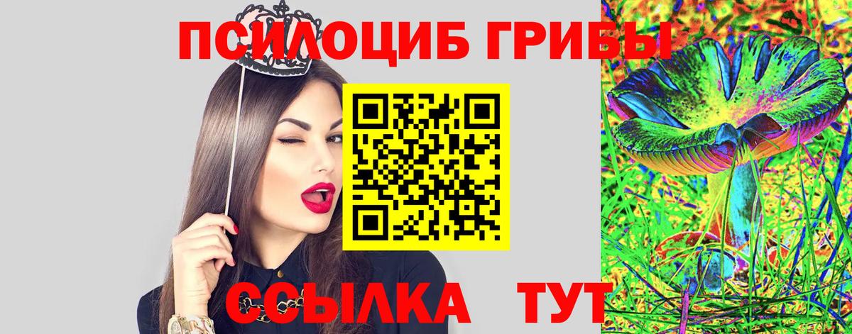 Псилоцибиновые грибы мицелий Фролово